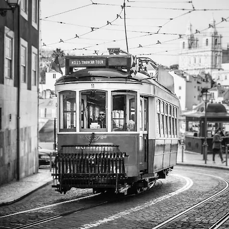 Lägenhet You Hub With Stunning View Over Rooftops Lisboa